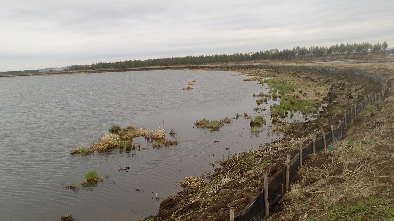 北方湖泊水库水泡养螃蟹实景