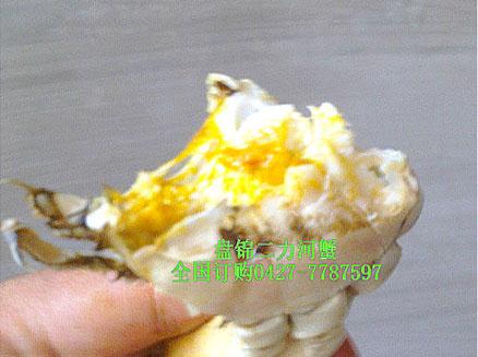 盘锦二力河蟹满膏公蟹