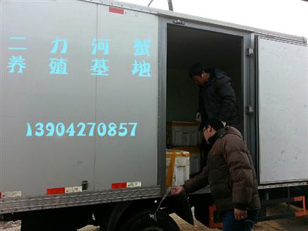 蟹苗长途运输