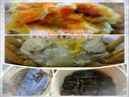 黄满膏肥品盘锦二力河蟹正当时